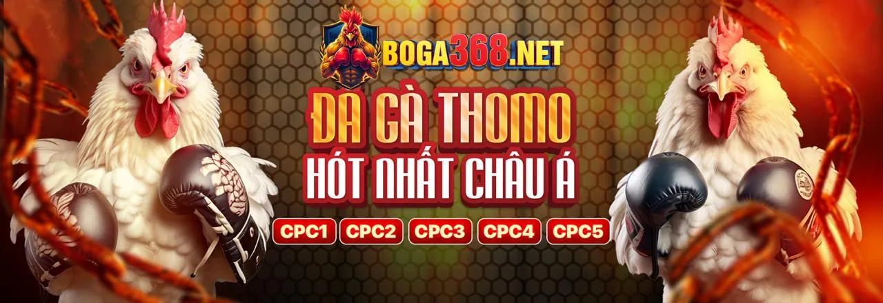 Đá Gà Trực Tuyến Hấp Dẫn tại bongso88 win